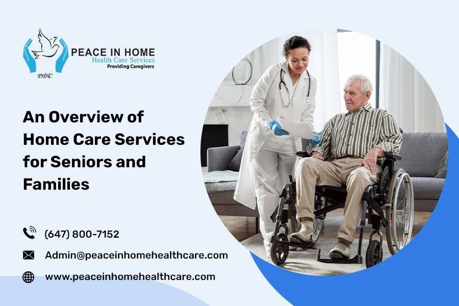 An Overview of Home Care Services for Seniors and Families
